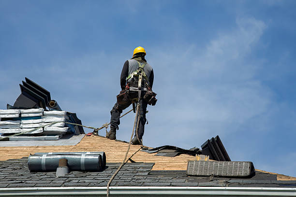 Professional Roof Replacement technician working in Jasper, FL